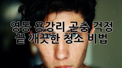 영동 용강리 곤충 걱정 끝! 깨끗한 청소 비법