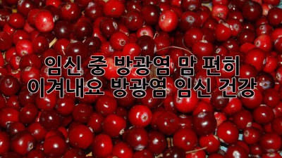 임신 중 방광염, 맘 편히 이겨내요!🤰 #방광염 #임신 #건강