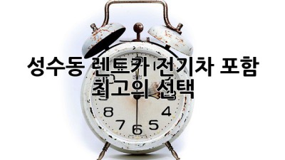 성수동 렌트카: 전기차 포함, 최고의 선택!